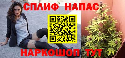 прущие грибы Коммунар