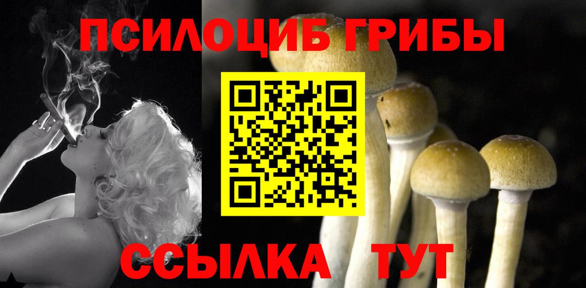 Галлюциногенные грибы GOLDEN TEACHER Керчь